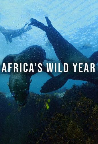 Africa's Wild Year