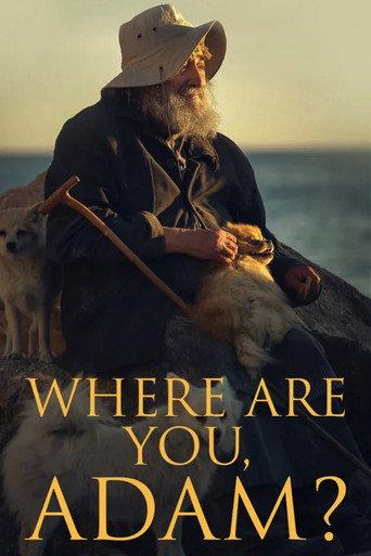 Where Are You, Adam?
