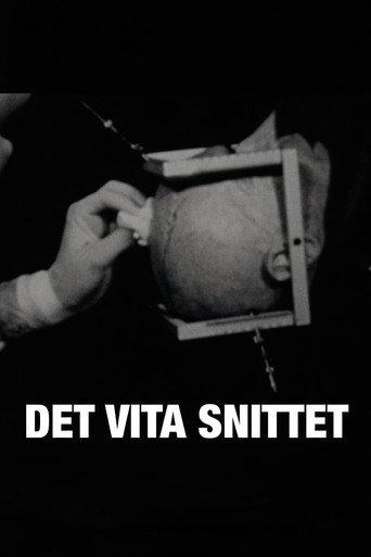 Det vita snittet