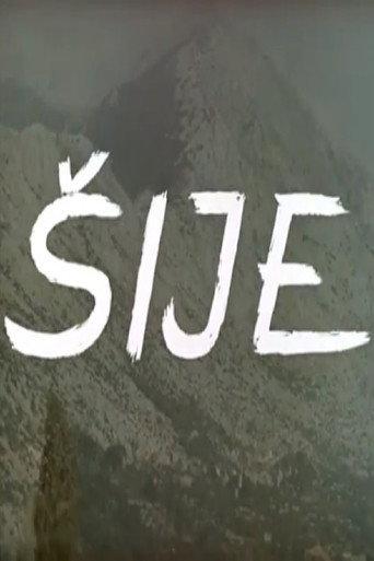 Morra