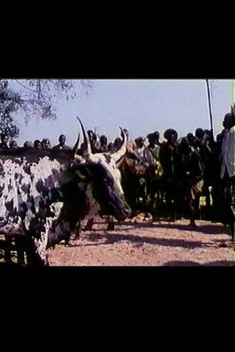 Feast of the Sacred Ox
