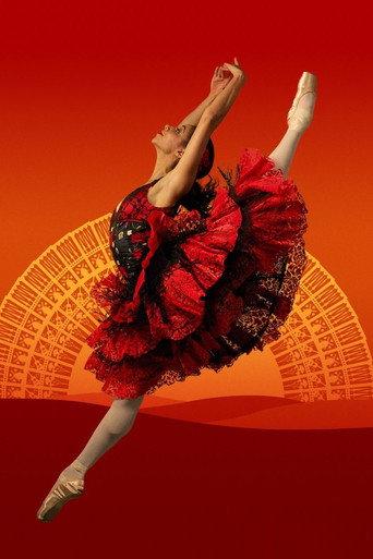 Don Quixote from Birmingham Royal Ballet