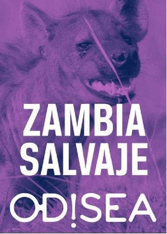 Tales from Zambia