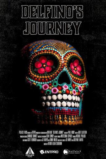 Delfino's Journey