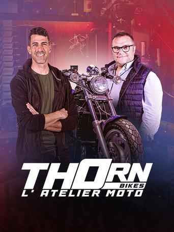 Thorn Bikes
