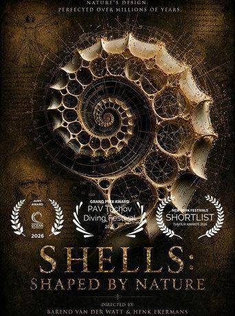 Shells: Shaped by Nature