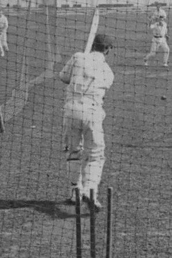 Cricket Again!