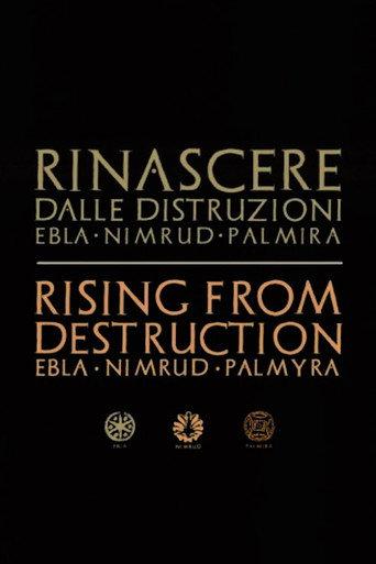 Palmyra: Rising from the Ashes