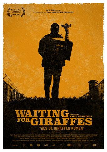 Waiting For Giraffes