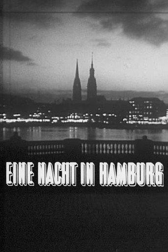 Eine Nacht in Hamburg