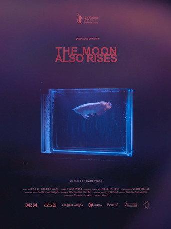 The Moon Also Rises