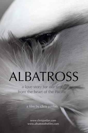 Albatross