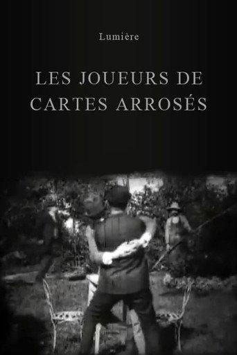 Joueurs de cartes arrosés