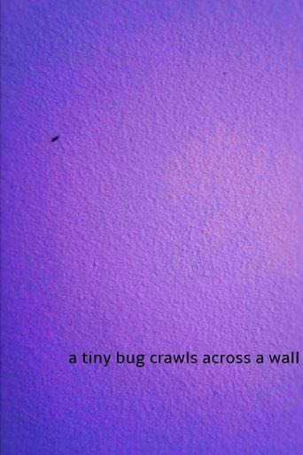 a tiny bug crawls across a wall