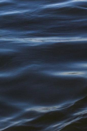 The Flood