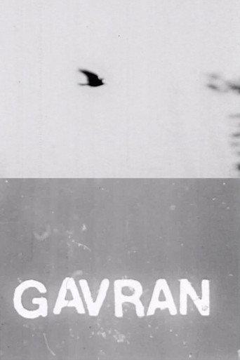 The Raven