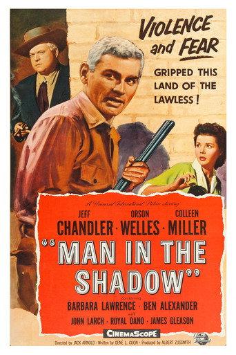 Man in the Shadow