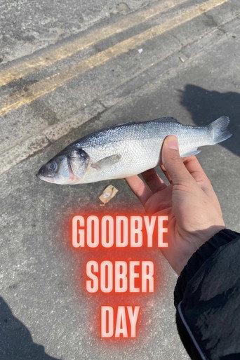 Goodbye Sober Day