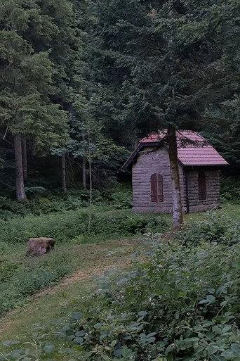 UBFO (Unidentified Black Forest Object)