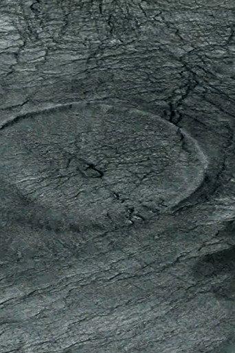Whirlpool