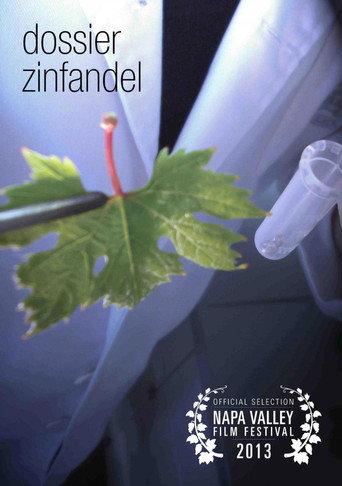 Dossier Zinfandel