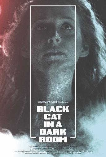 Black Cat in a Dark Room