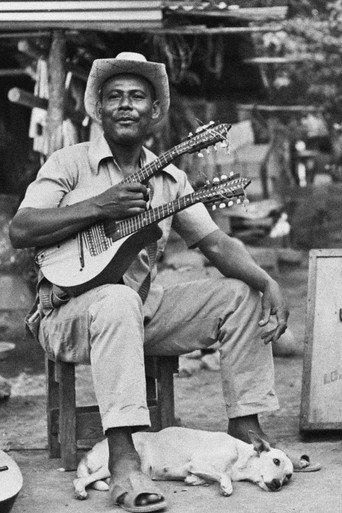 El rey del bandolín