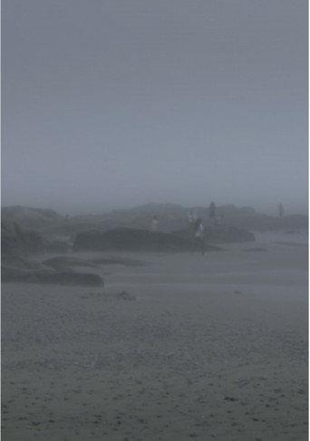 The Fog Has Covered The Moment Again