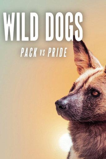 Wild Dogs: Packs Vs. Pride