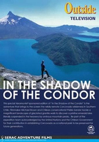 In the Shadow of the Condor