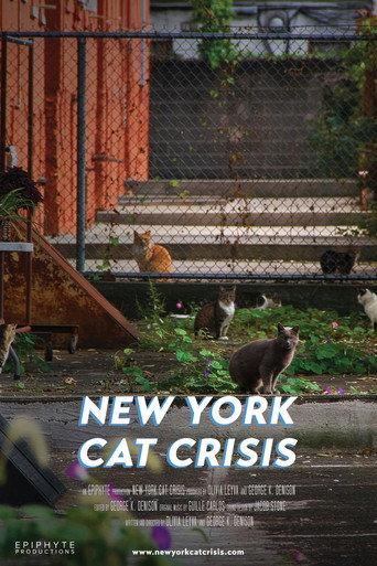New York Cat Crisis