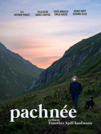 Pachnée