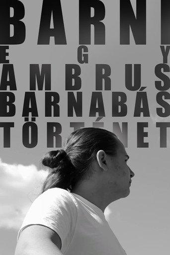 BARNI: A Barnabás Ambrus Story