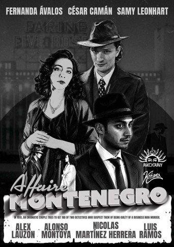 The Montenegro Affair