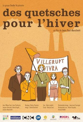 Des quetsches pour l'hiver
