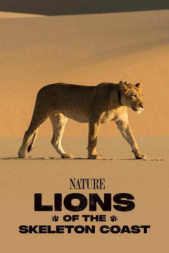 Lions of the Skeleton Coast