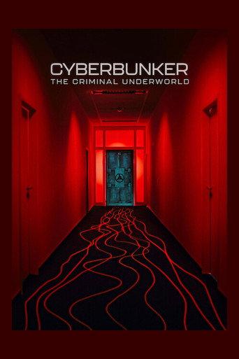 Cyberbunker: The Criminal Underworld