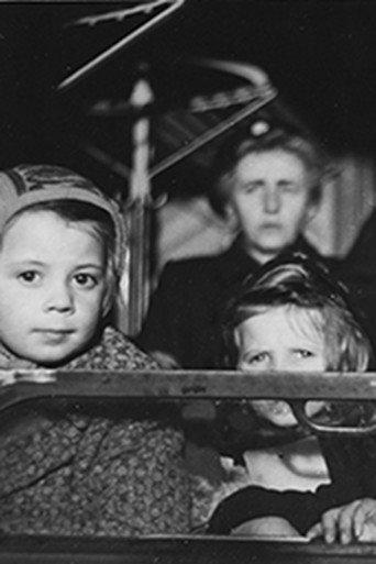 Report on the Refugee Situation