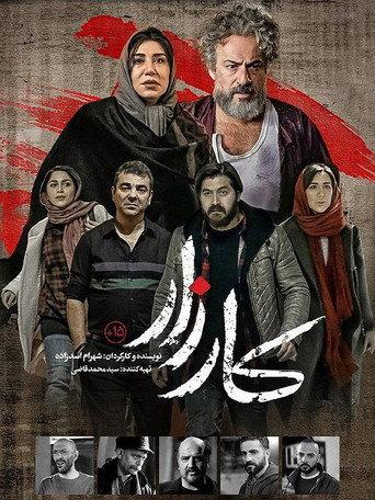 Campaign